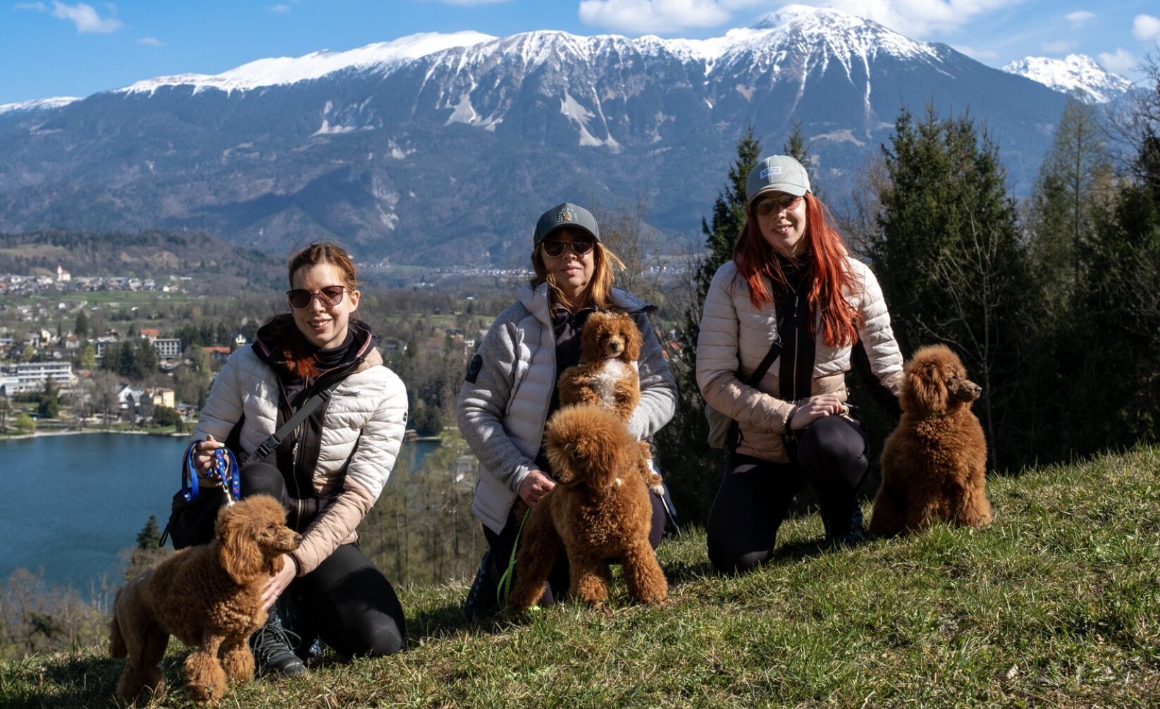We went hiking in the mountains with our dogs and put together a few things to keep in mind.