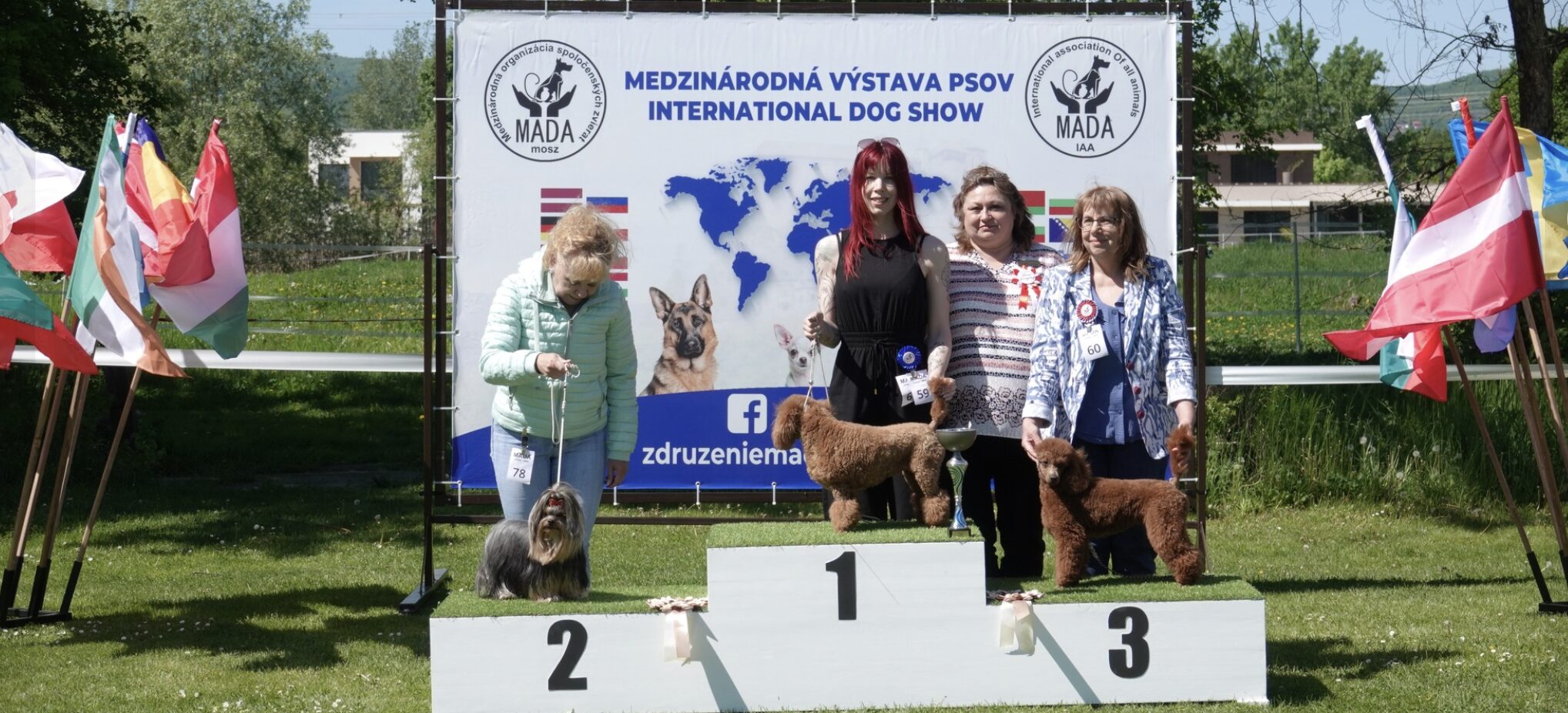 Budai Alfa Kennel successes at the OZ MADA 2x International Dog Show 