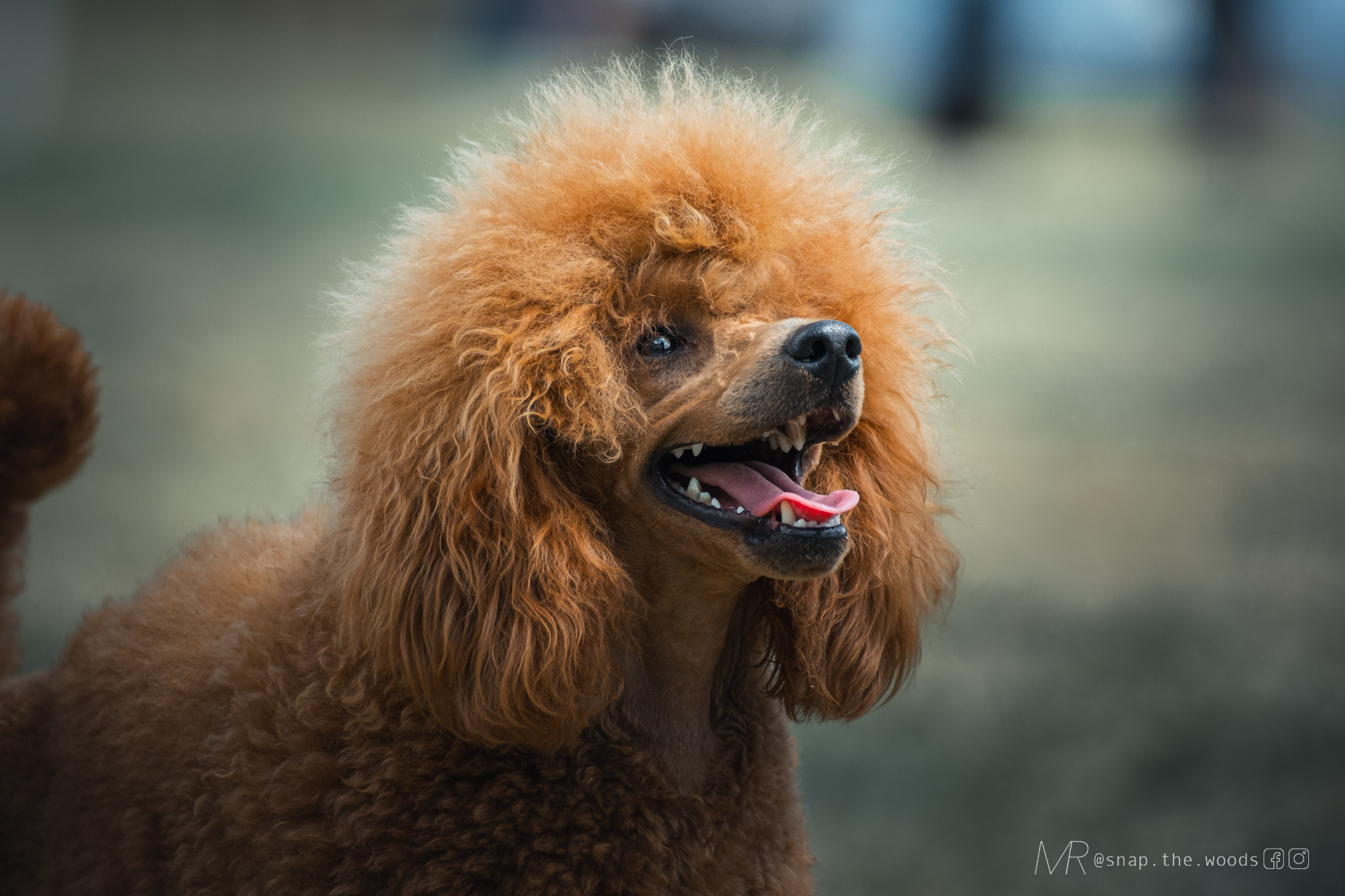 DSCF0436