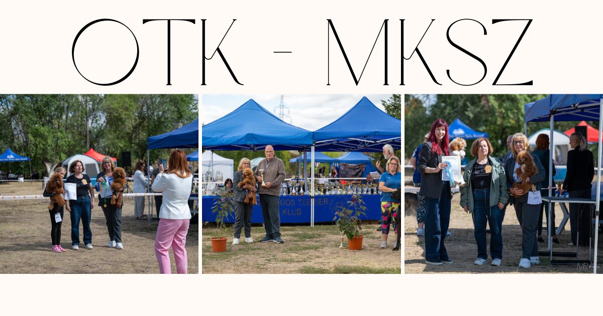 OTK CAC AND SPECIAL DOG SHOW 2026 autumn